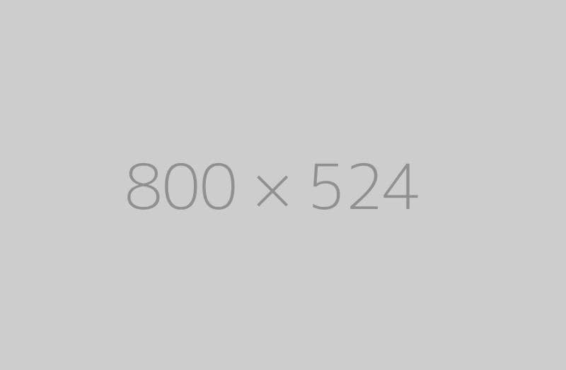 hongo 800×524-ph